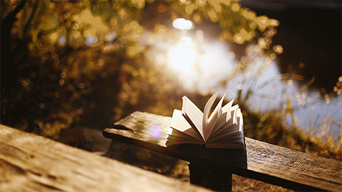 pretty-book-bench-nature-water-outdoors-animated-gif-1.gif